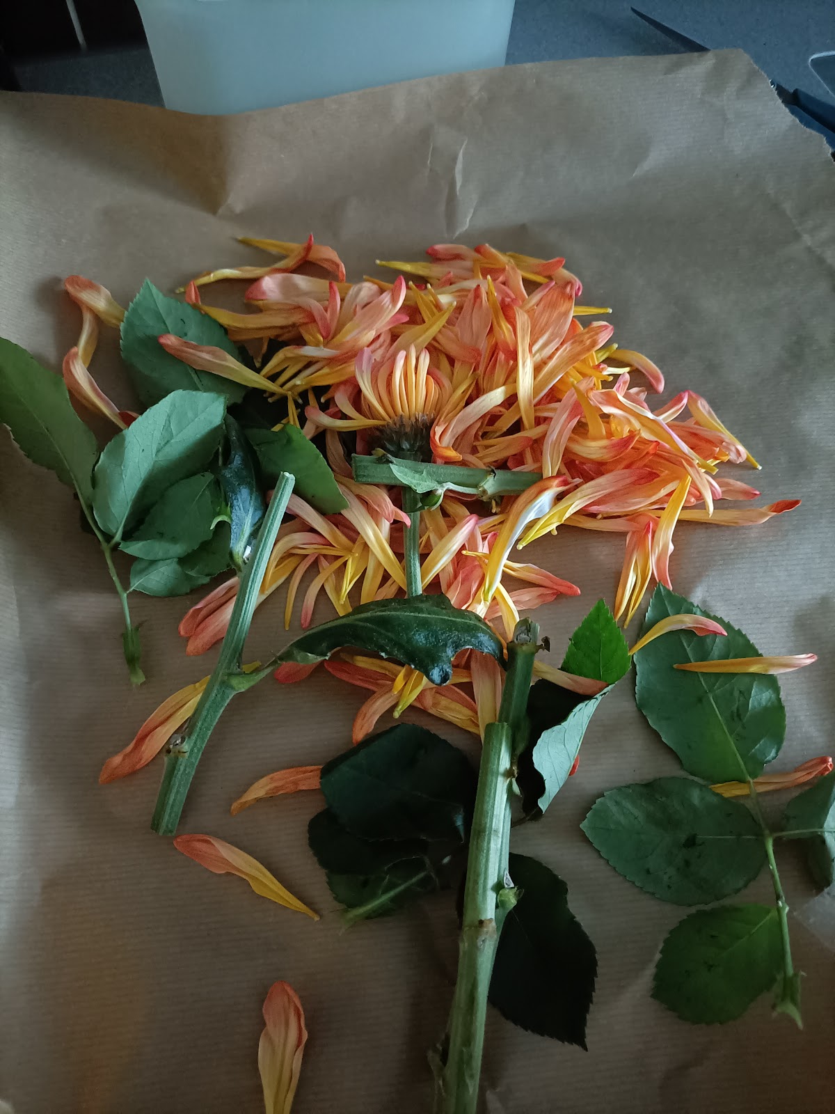 Foto van Piet's Bloemenboetiek in Leeuwarden