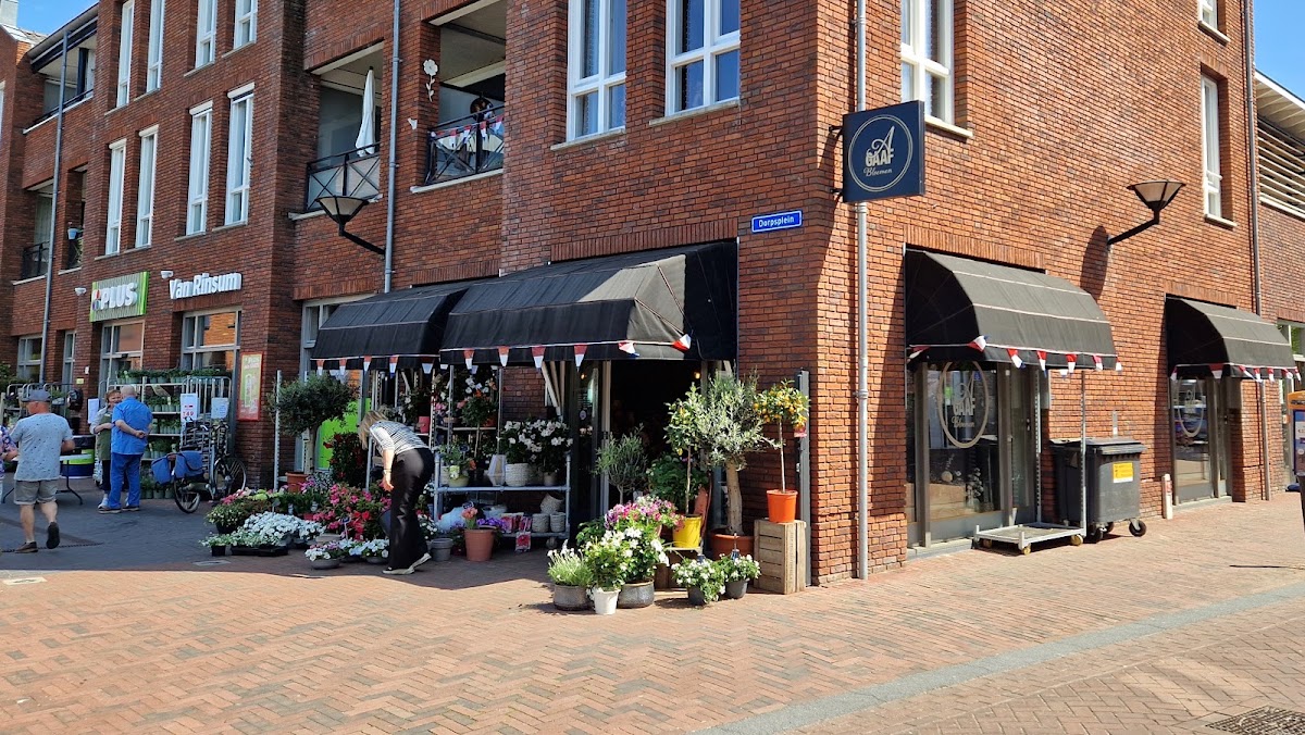 Foto van Agaaf Bloemen in Renswoude