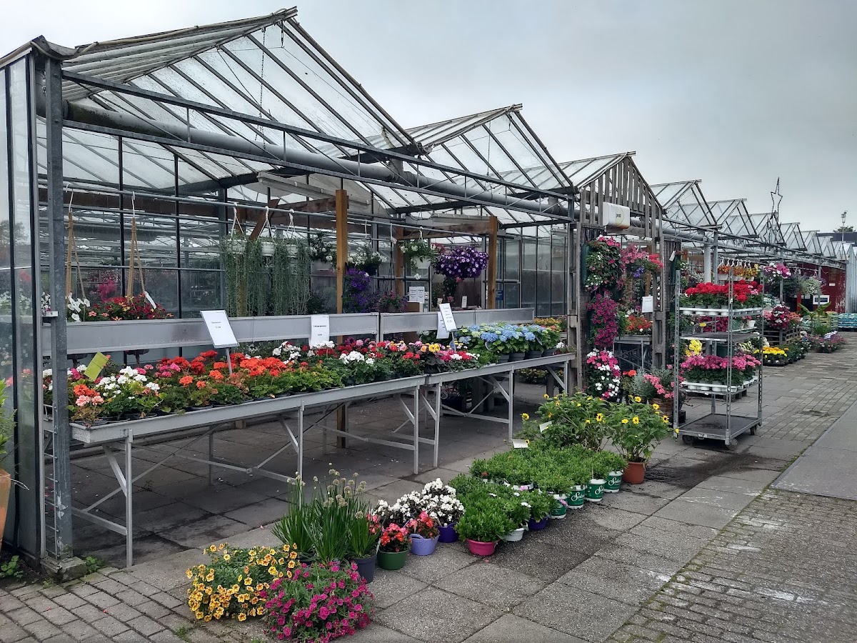 Foto van Tuincentrum de Leeuw in Marsum