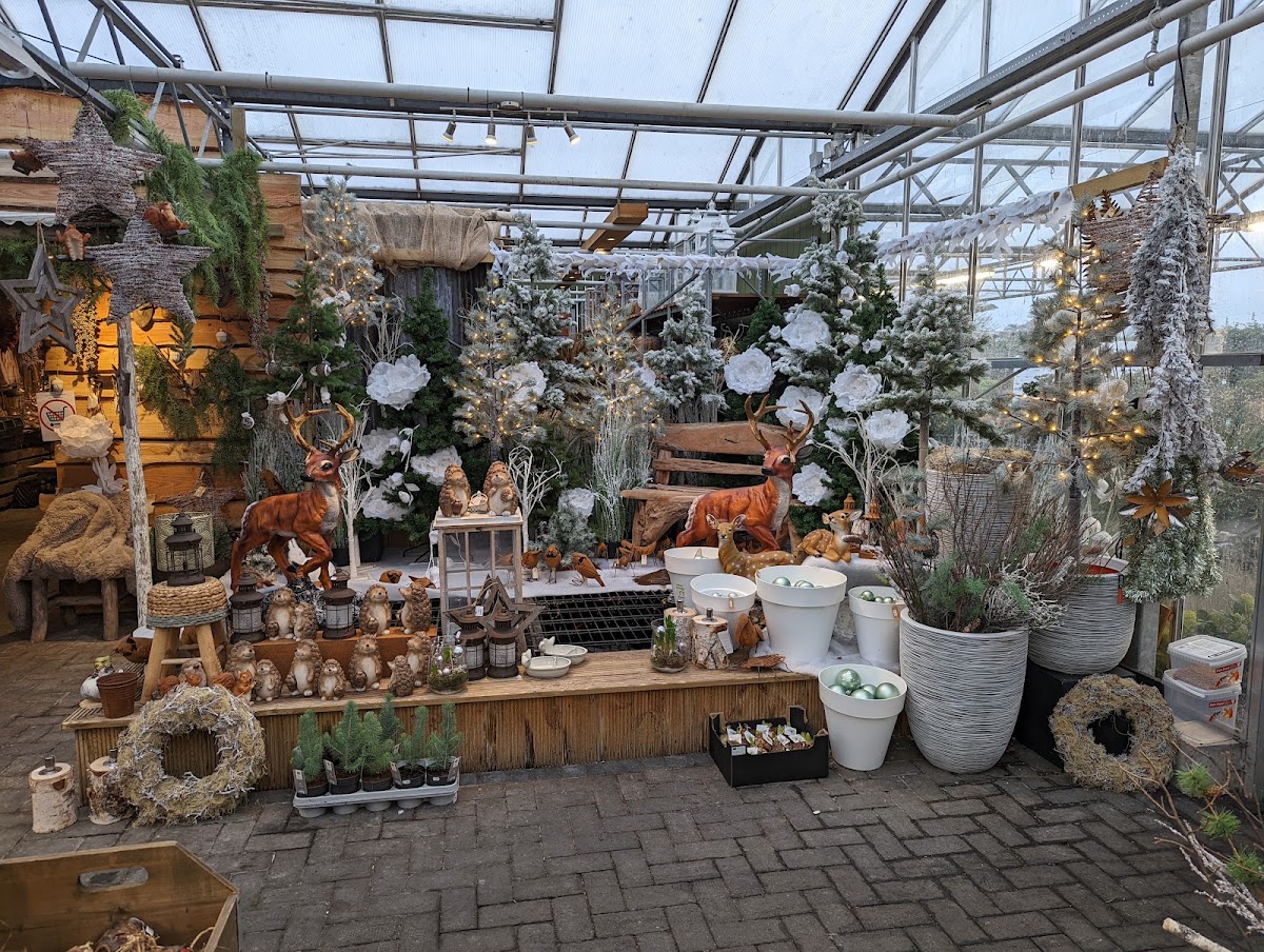Foto van Rob's Tuincentrum in Menaam