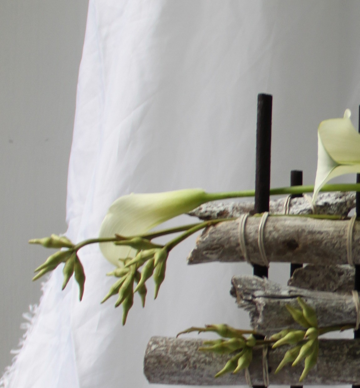 Foto van Fiore Rosa Bloemenatelier in Oosterwolde