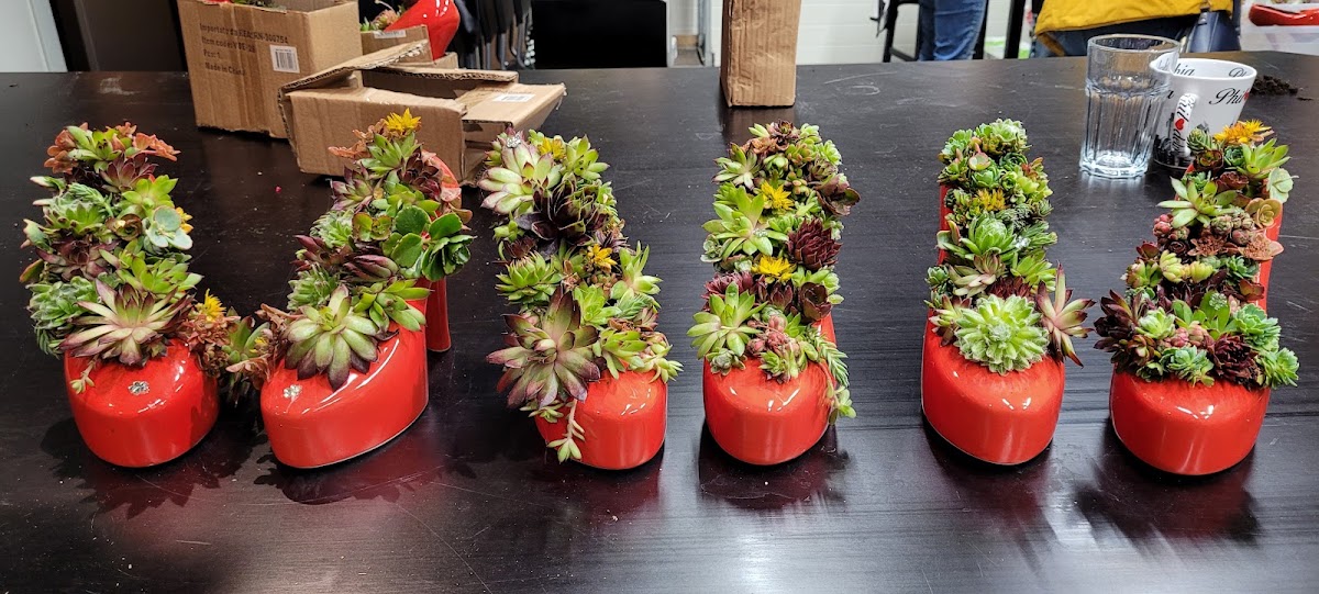 Foto van Pien Flowers; International Master Florist in Alphen aan den Rijn