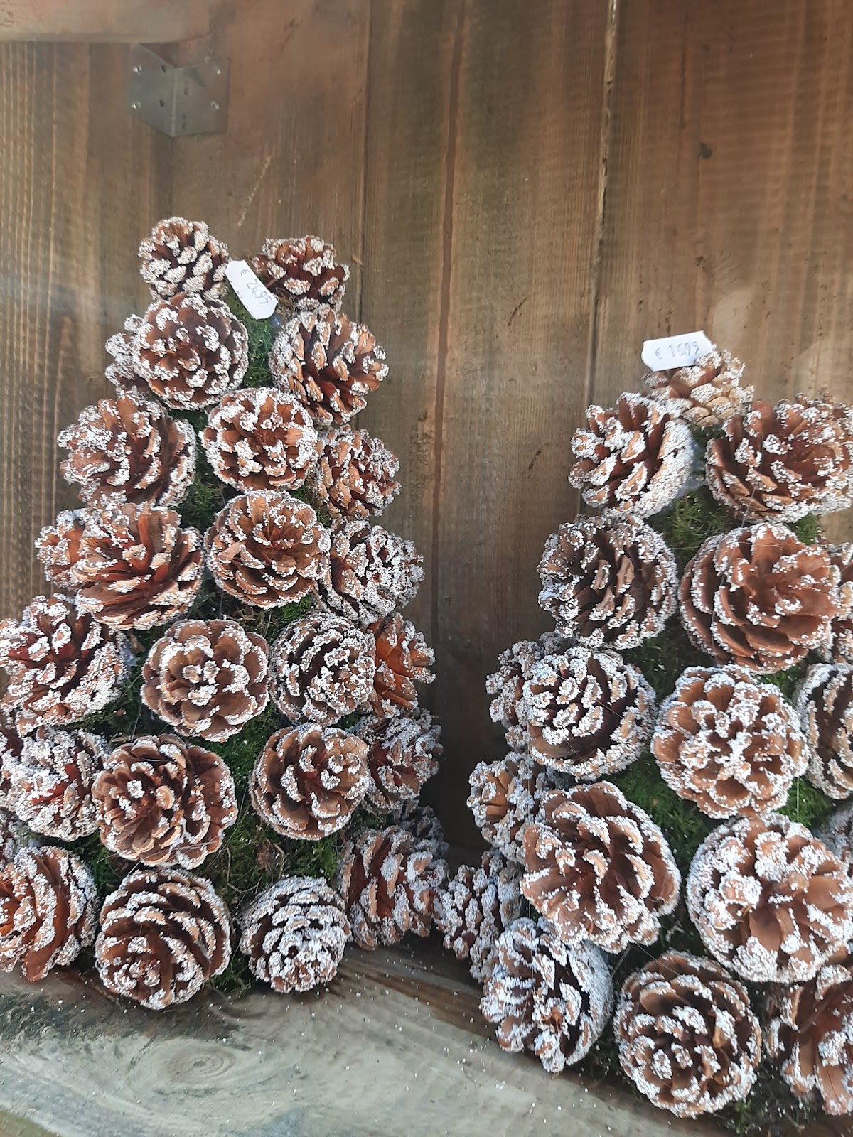 Foto van Leeuwenkamp bloemsierkunst en woondecoratie in Oudemirdum