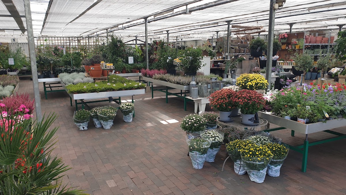 Tuincentrum De Koning Rohel, Friesland