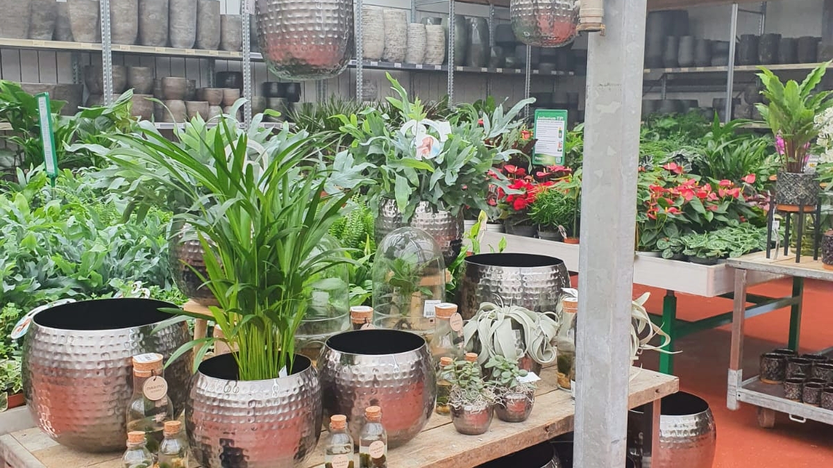 Foto van Tuincentrum De Koning Rohel, Friesland in Rohel