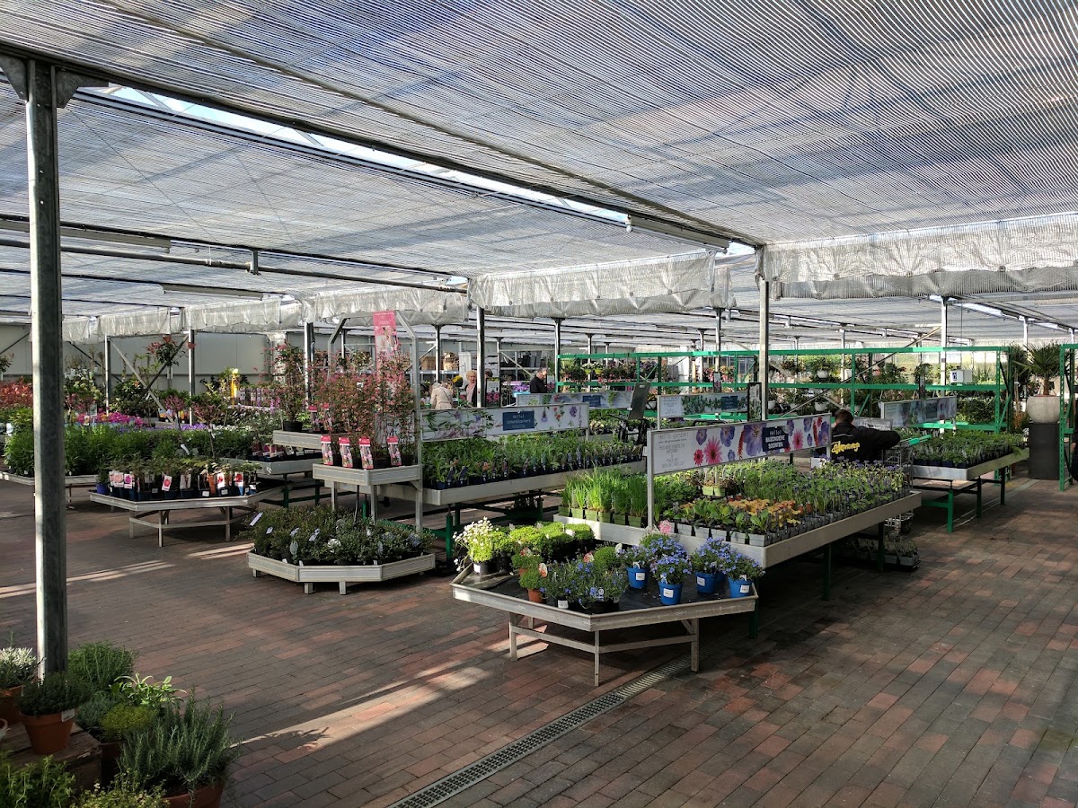Foto van Tuincentrum De Koning Rohel, Friesland in Rohel