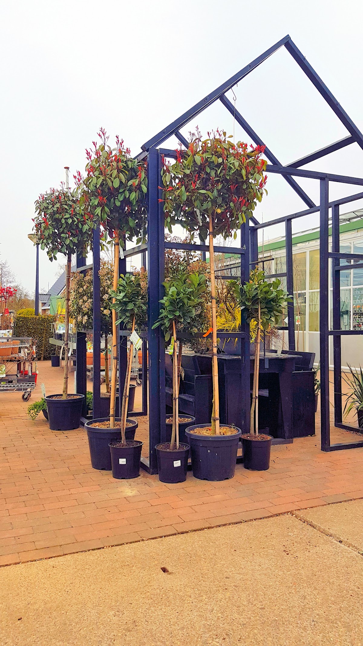Foto van Tuincentrum De Koning Rohel, Friesland in Rohel