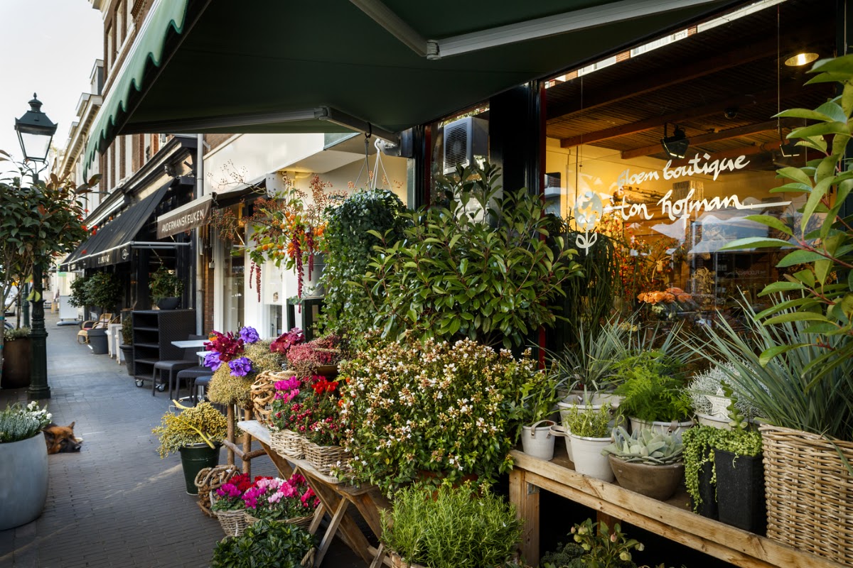 Foto van Bloemen Bezorgen Den Haag in Den Haag