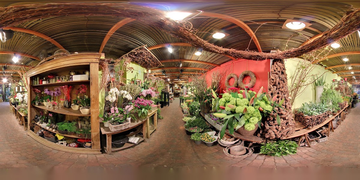 Foto van Bloemen Bezorgen Den Haag in Den Haag