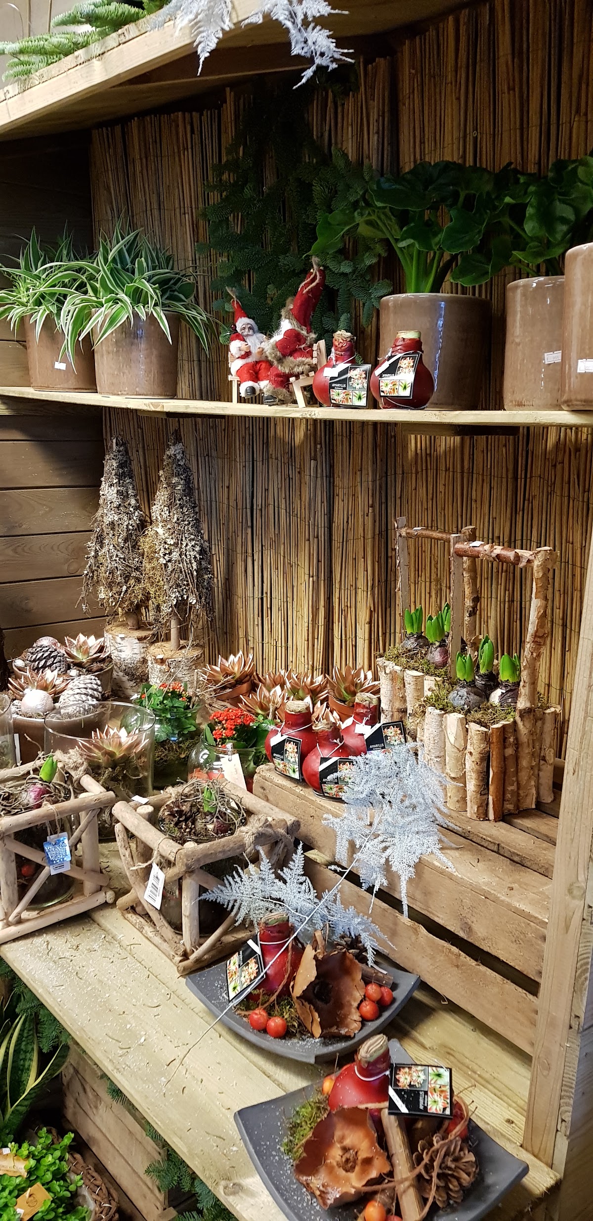 Foto van Stationshop / Speelman Bloemen Sneek in Sneek