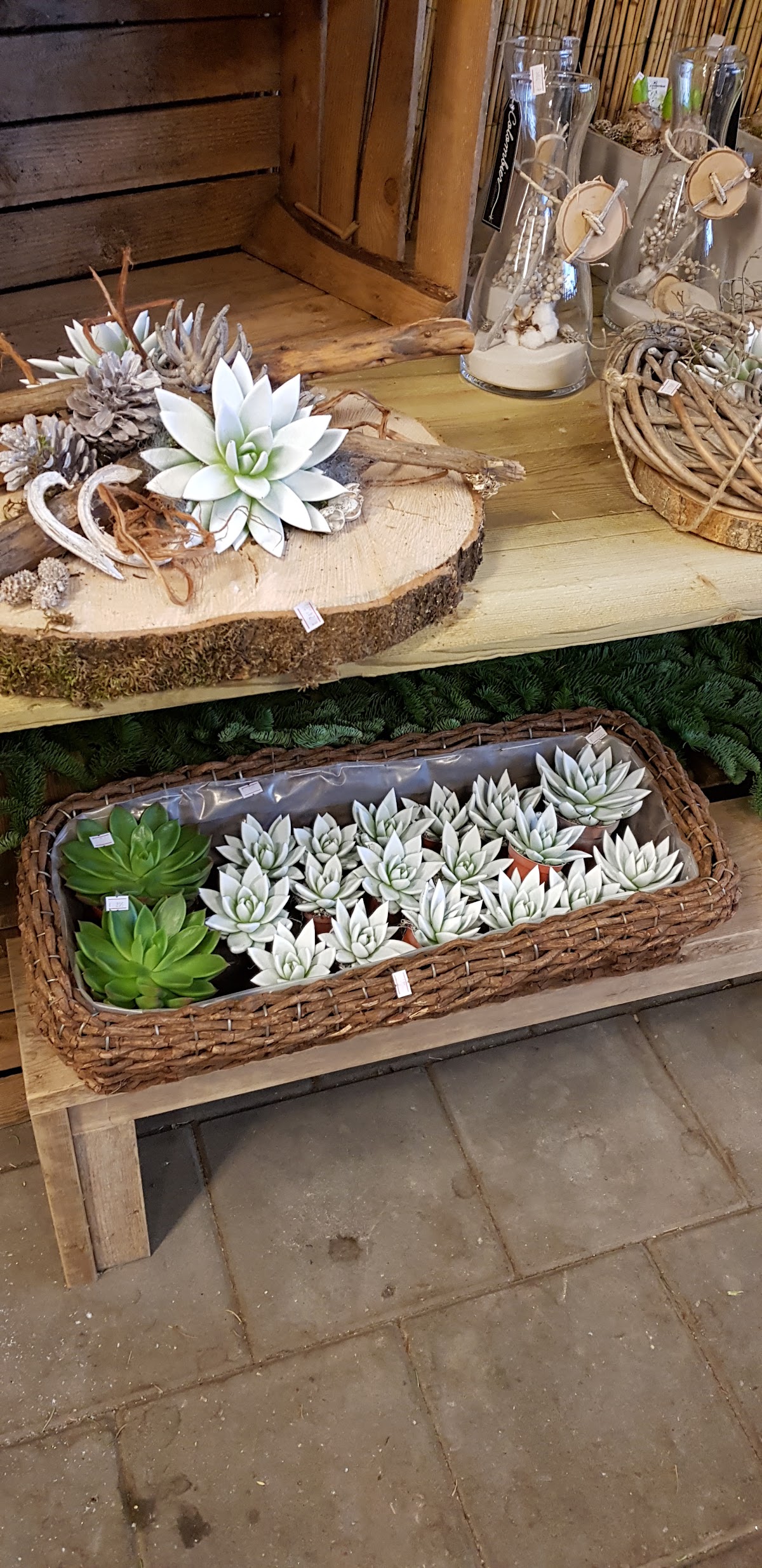 Foto van Stationshop / Speelman Bloemen Sneek in Sneek