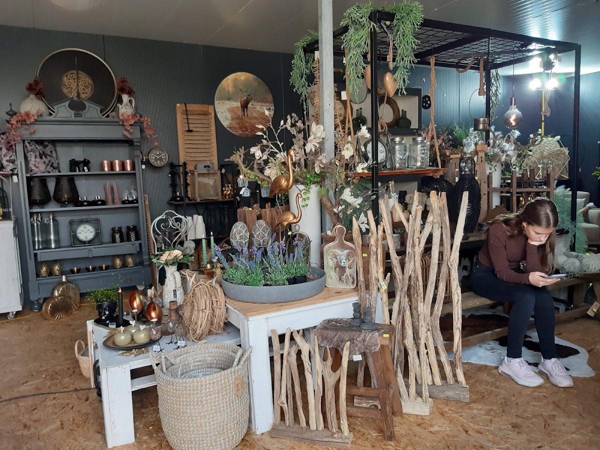 Foto van Tuincentrum Van Venrooij V.O.F. in Sonnega