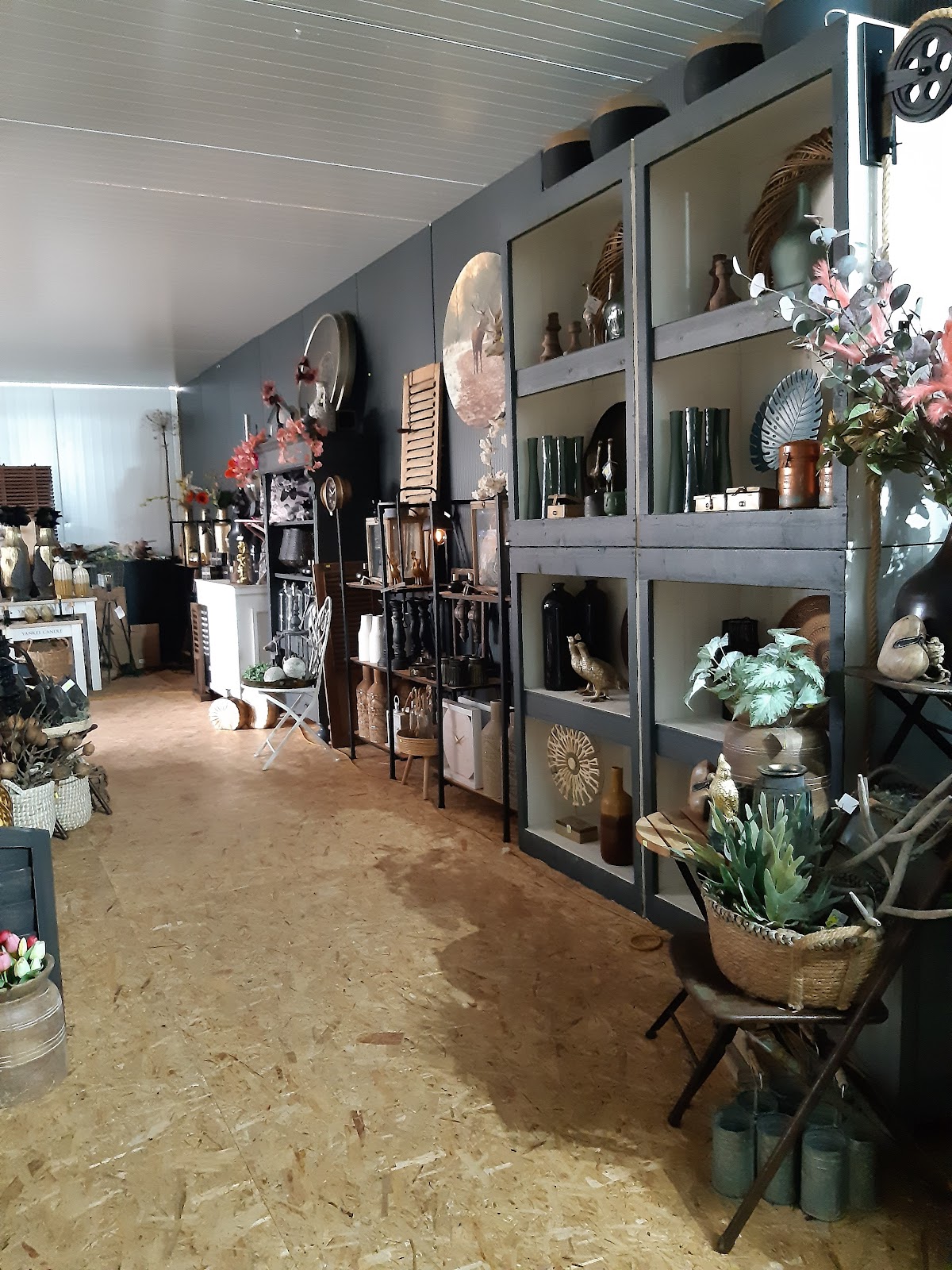 Foto van Tuincentrum Van Venrooij V.O.F. in Sonnega