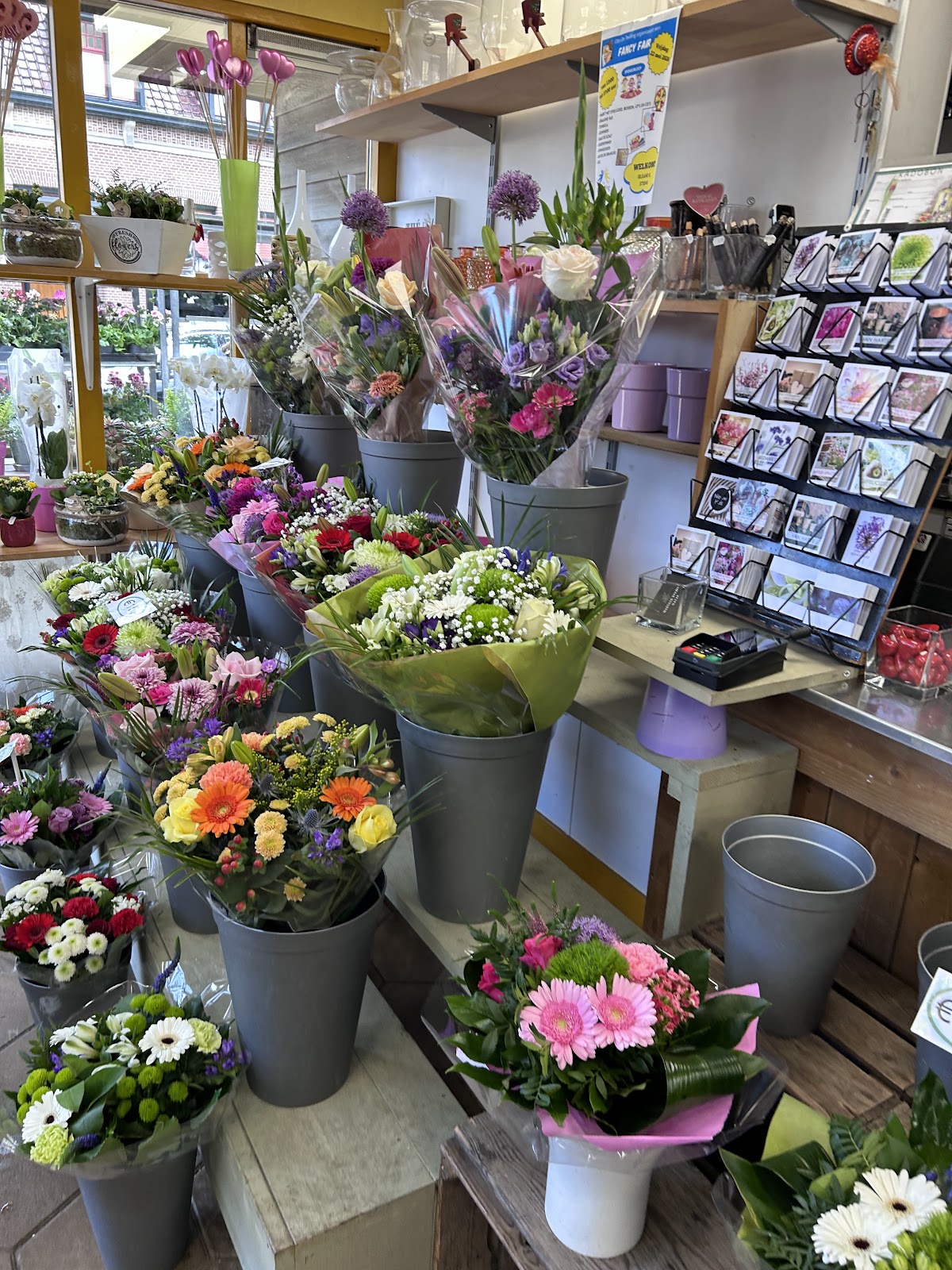 Foto van It Finsterblomke in Stiens