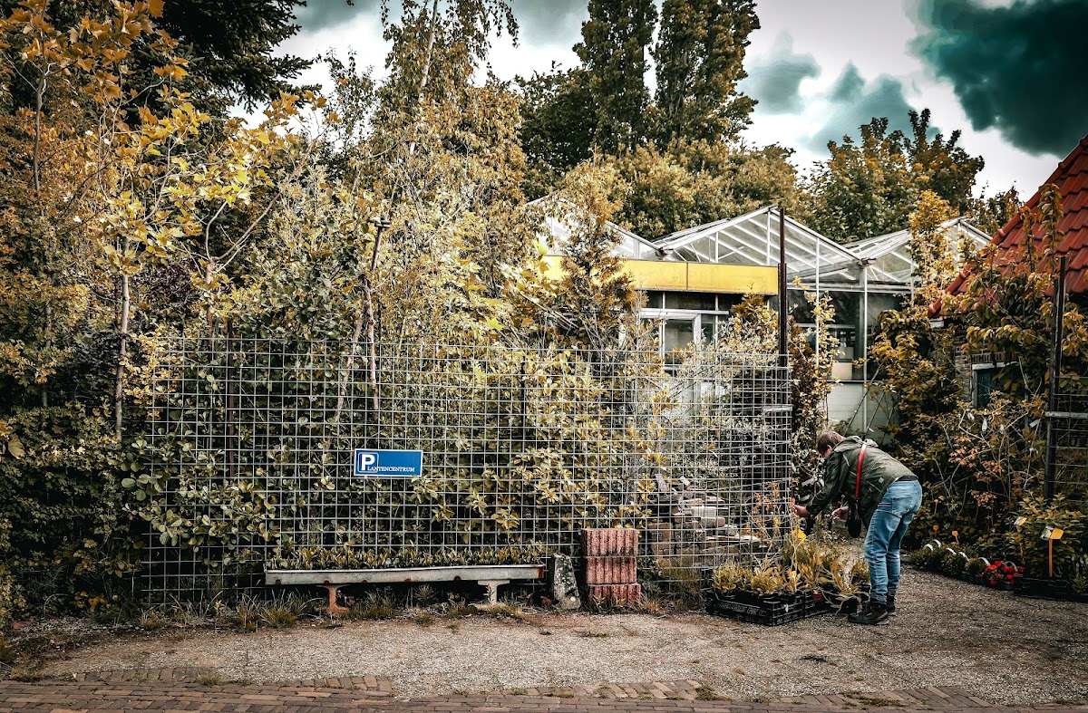 Foto van Plantencentrum Van der Graaf in Stiens