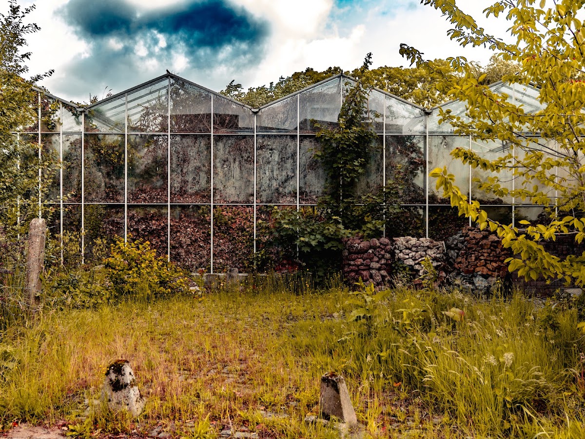 Foto van Plantencentrum Van der Graaf in Stiens