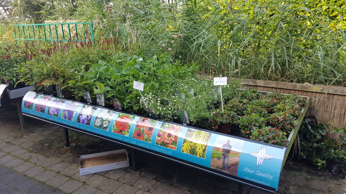 Foto van Bloemenhuis Pietersen in Noorden
