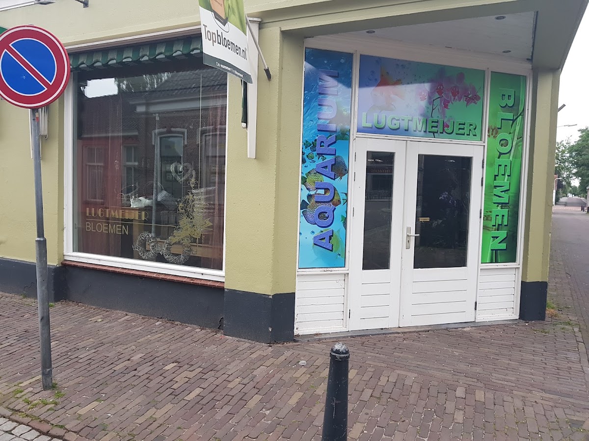 Lugtmeijer Bloemen