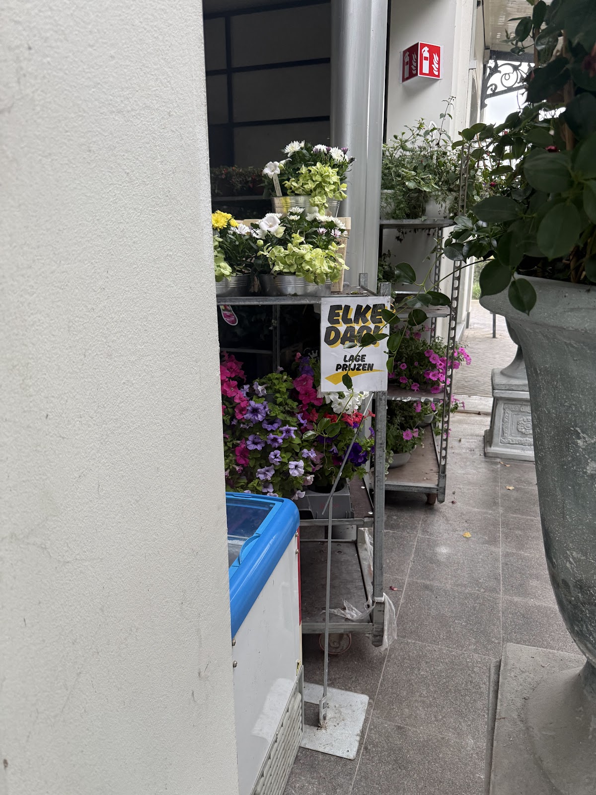 Foto van Bloemboetiek Nikky in Wolvega
