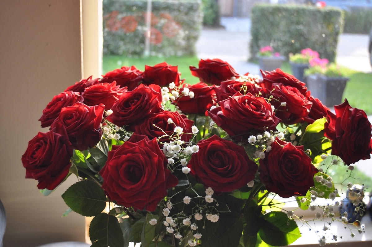 Bloemenshop
