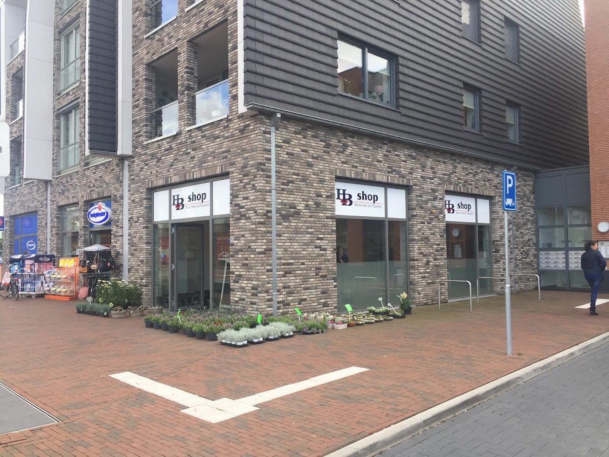 Foto van HB Shops Bloemen en Planten in 't Harde