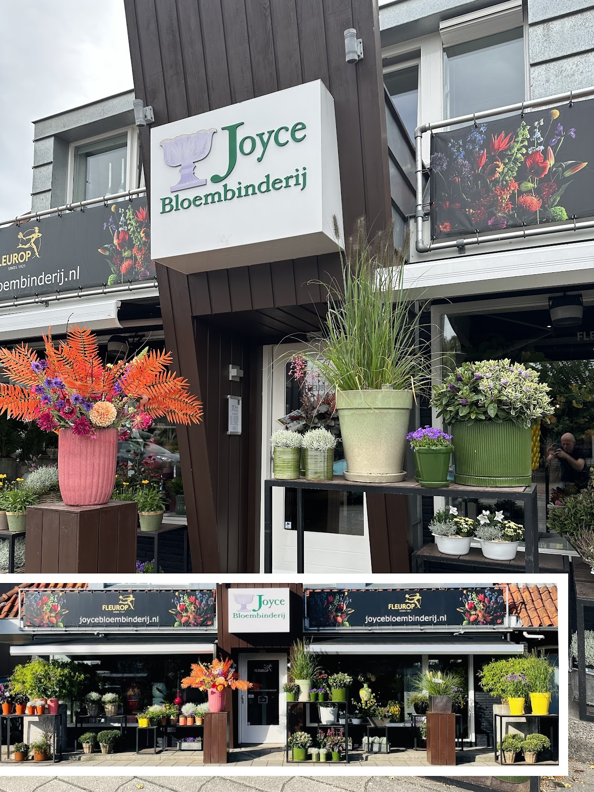 Joyce Bloembinderij