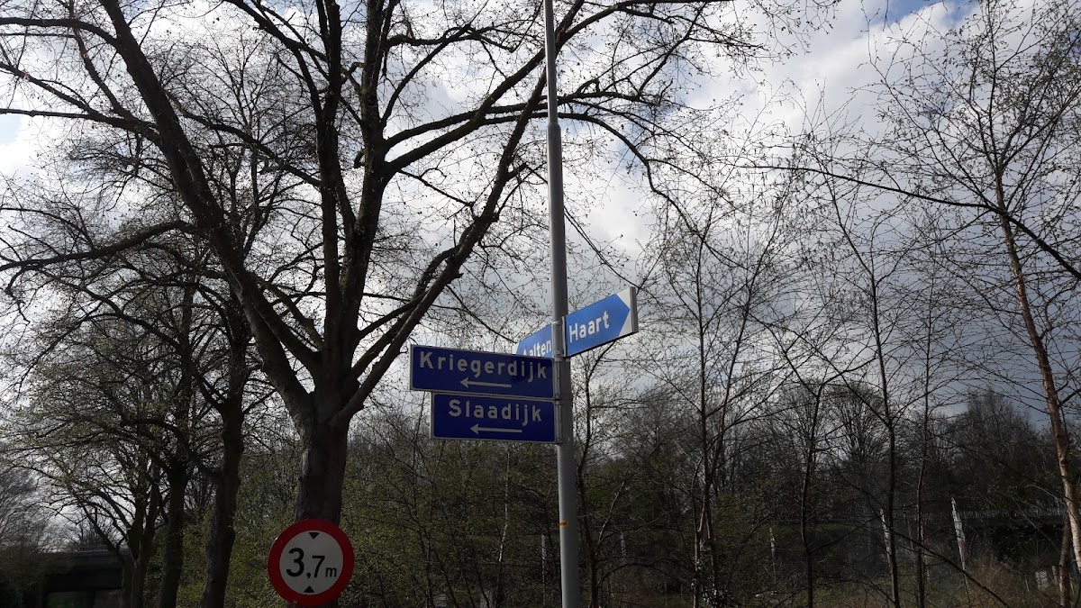 Foto van DE BREE TUINEN - Hoveniersbedrijf & Tuincentrum te Aalten in Aalten