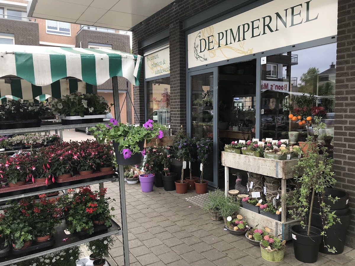Bloemsierkunst De Pimpernel
