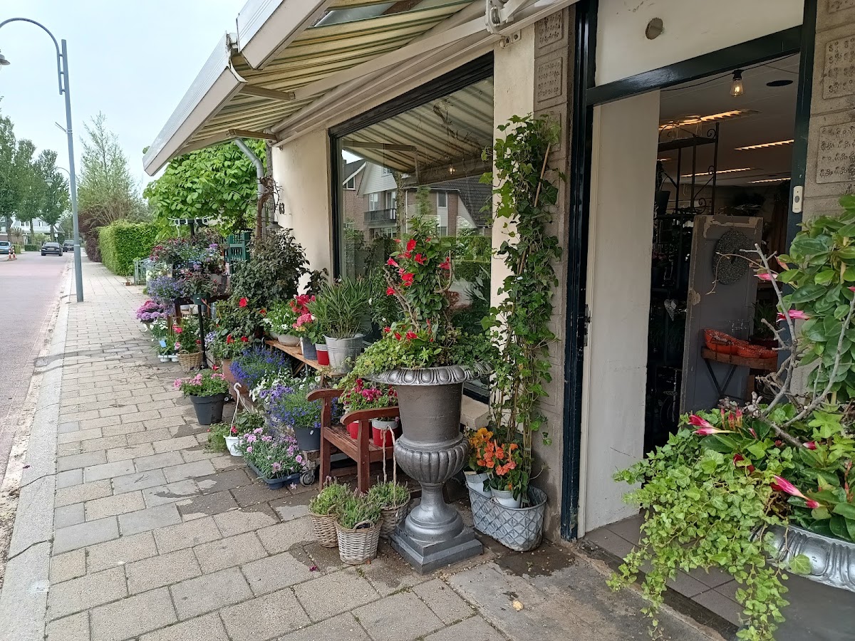 Groene Vingers Bloemsierkunst V.O.F.