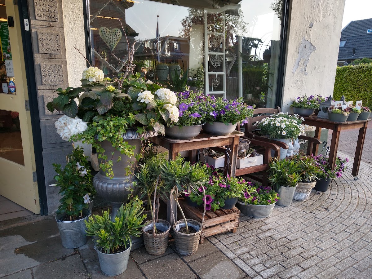 Foto van Groene Vingers Bloemsierkunst V.O.F. in Andelst