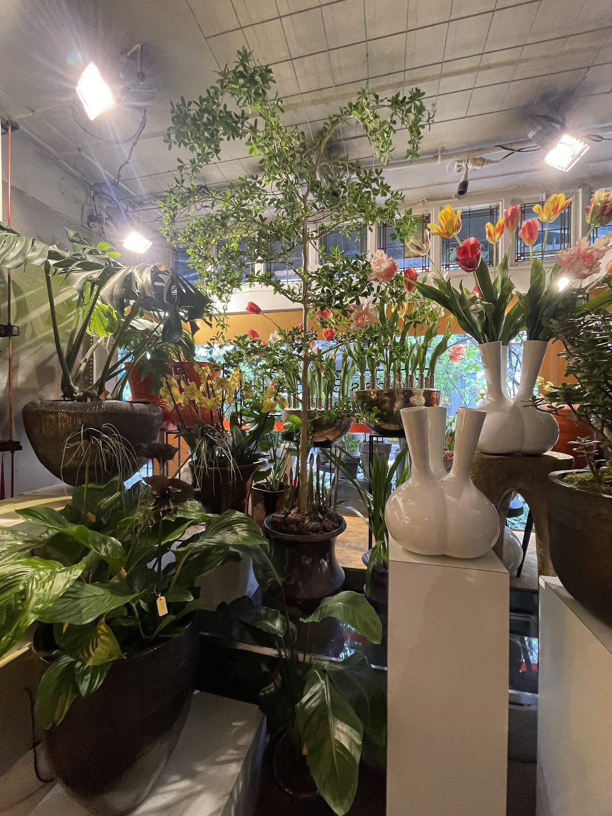 Foto van Gerda's Bloemen en Planten in Amsterdam