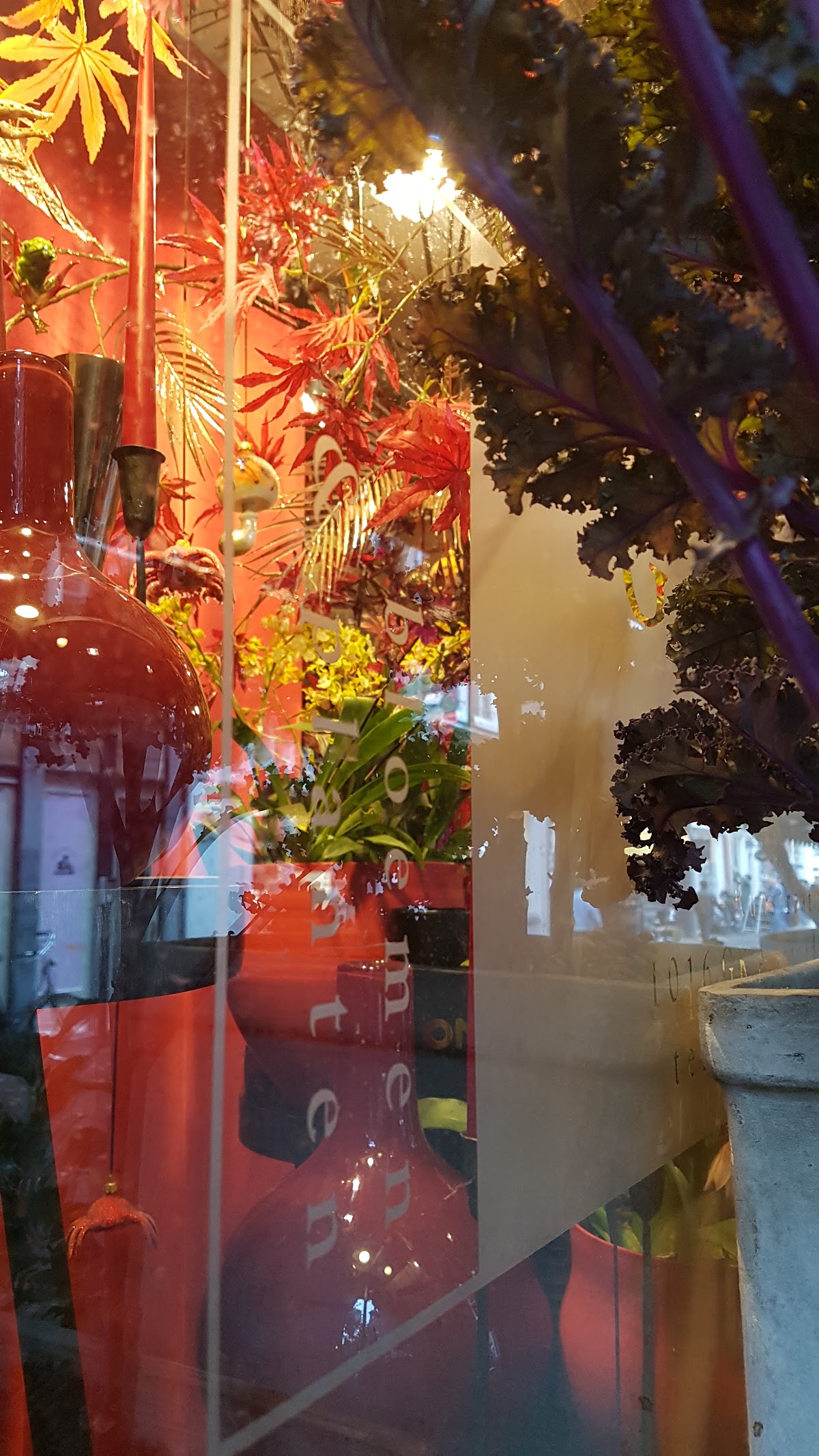 Foto van Gerda's Bloemen en Planten in Amsterdam