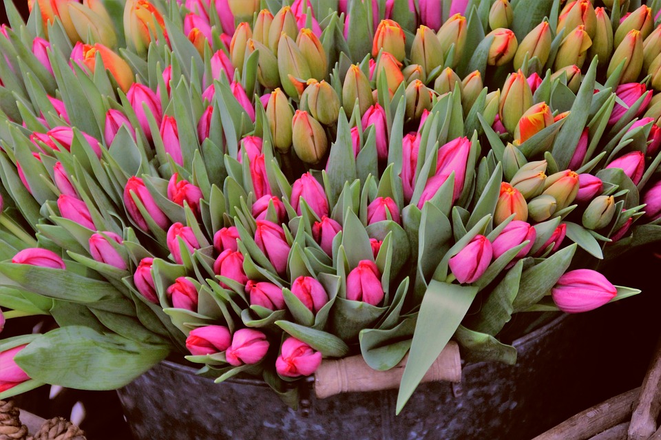 Foto van De Amsterdamse Bloemenmarkt (Apeldoorn) in Apeldoorn