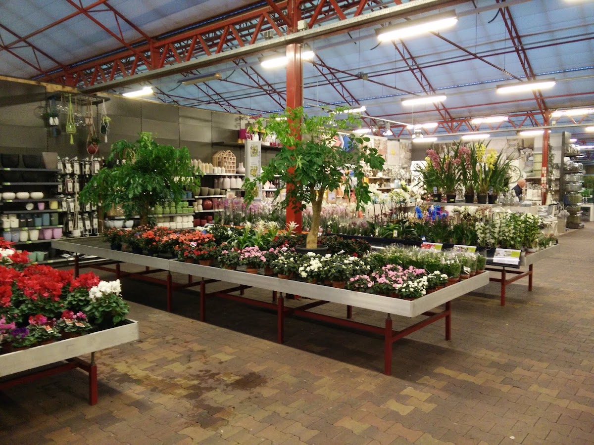 Foto van Intratuin Almere in Almere