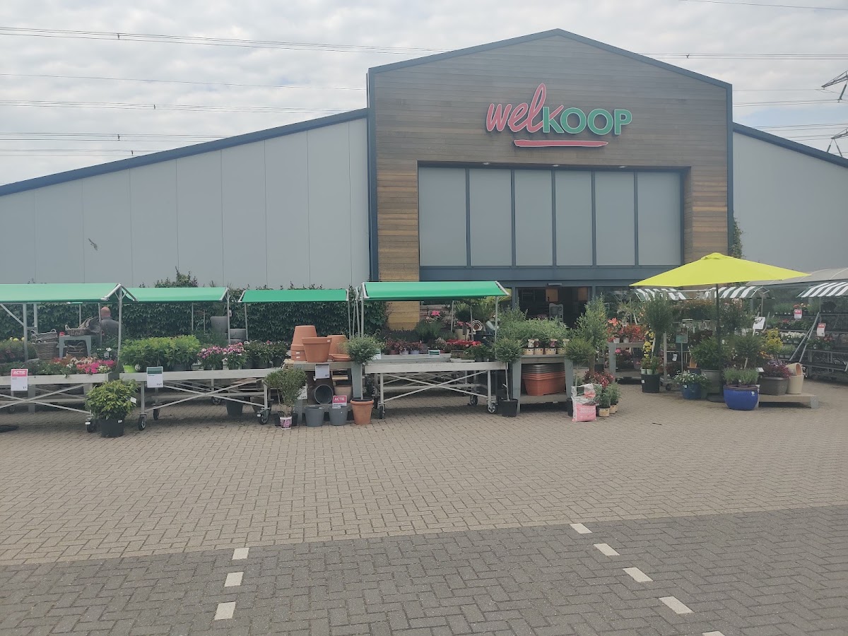 Foto van Welkoop Burgum in Burgum