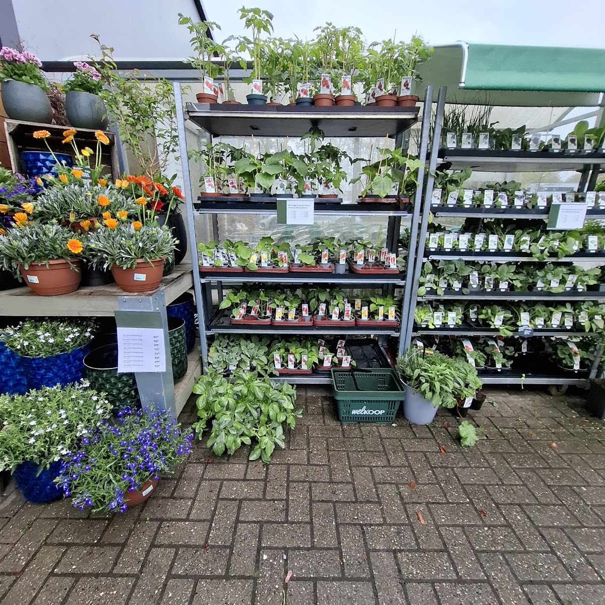 Foto van Welkoop Burgum in Burgum