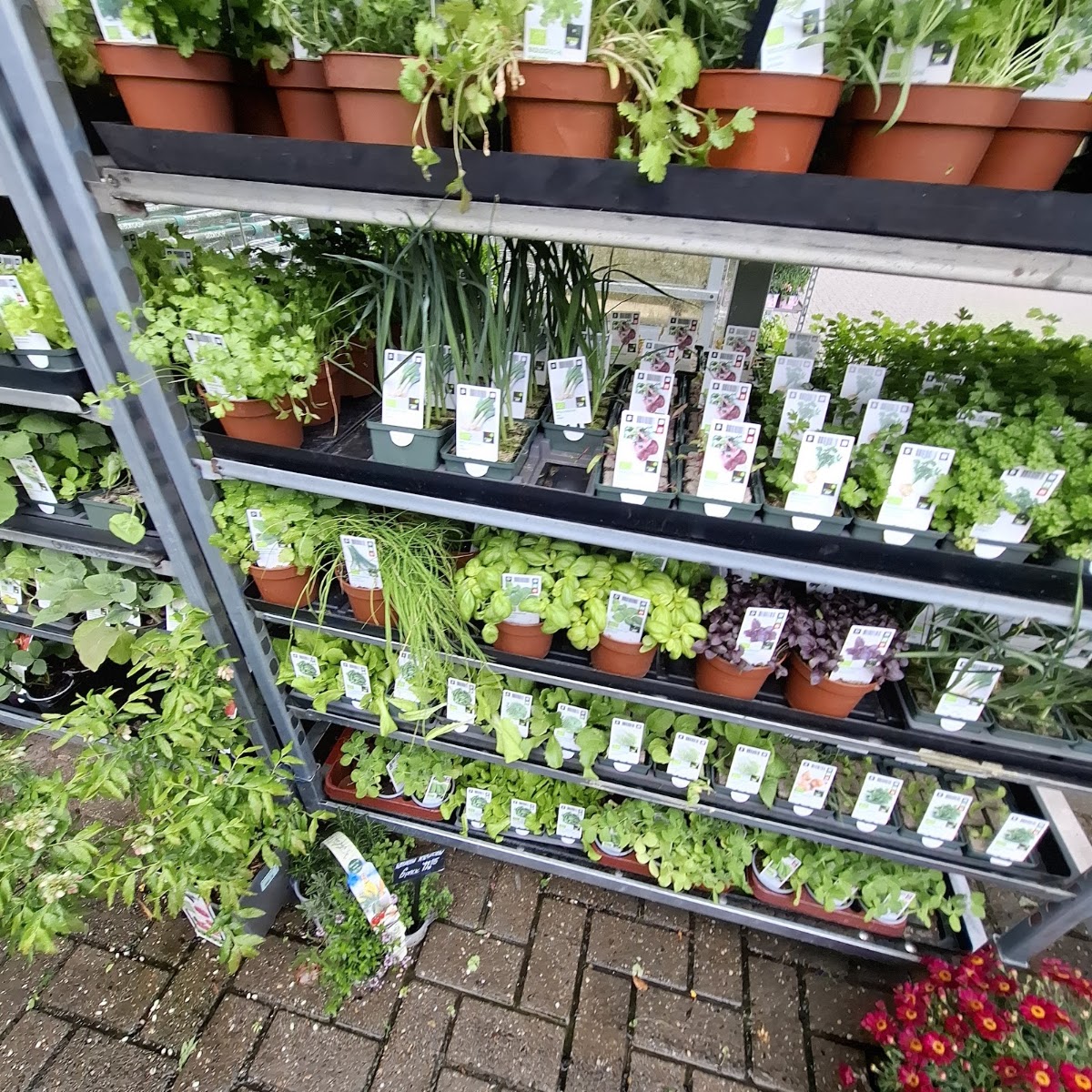 Foto van Welkoop Burgum in Burgum