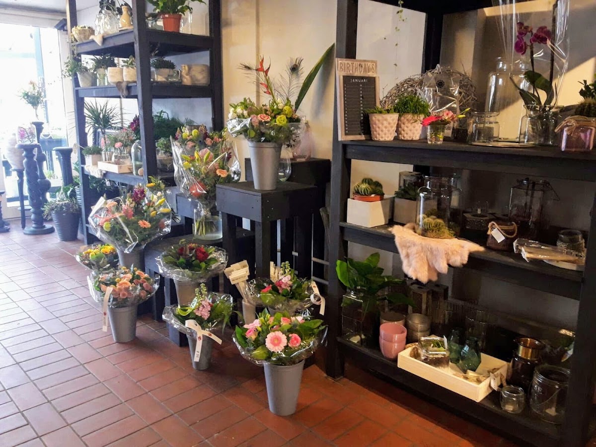 Foto van Bloemenhuis Silvester in Apeldoorn