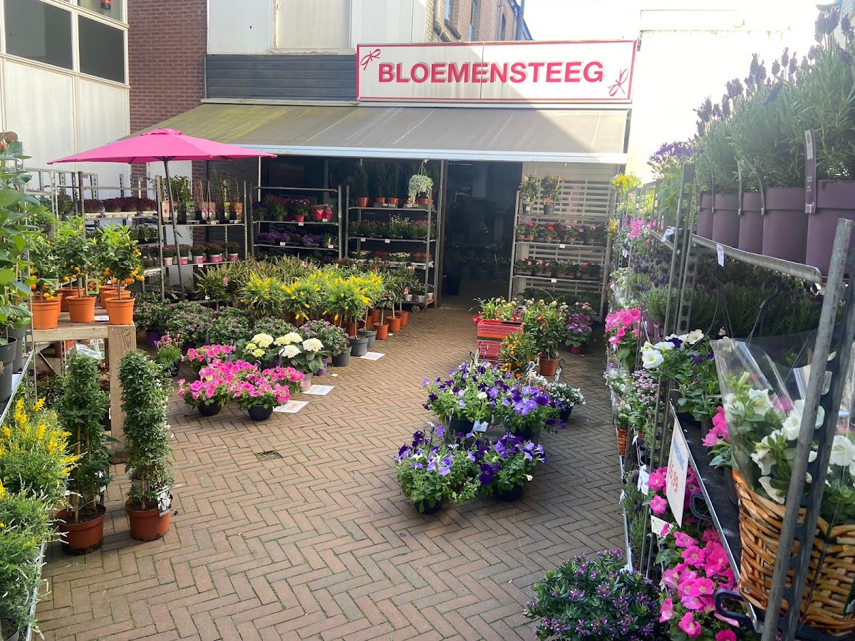 Bloemensteeg/VOF van Winsum