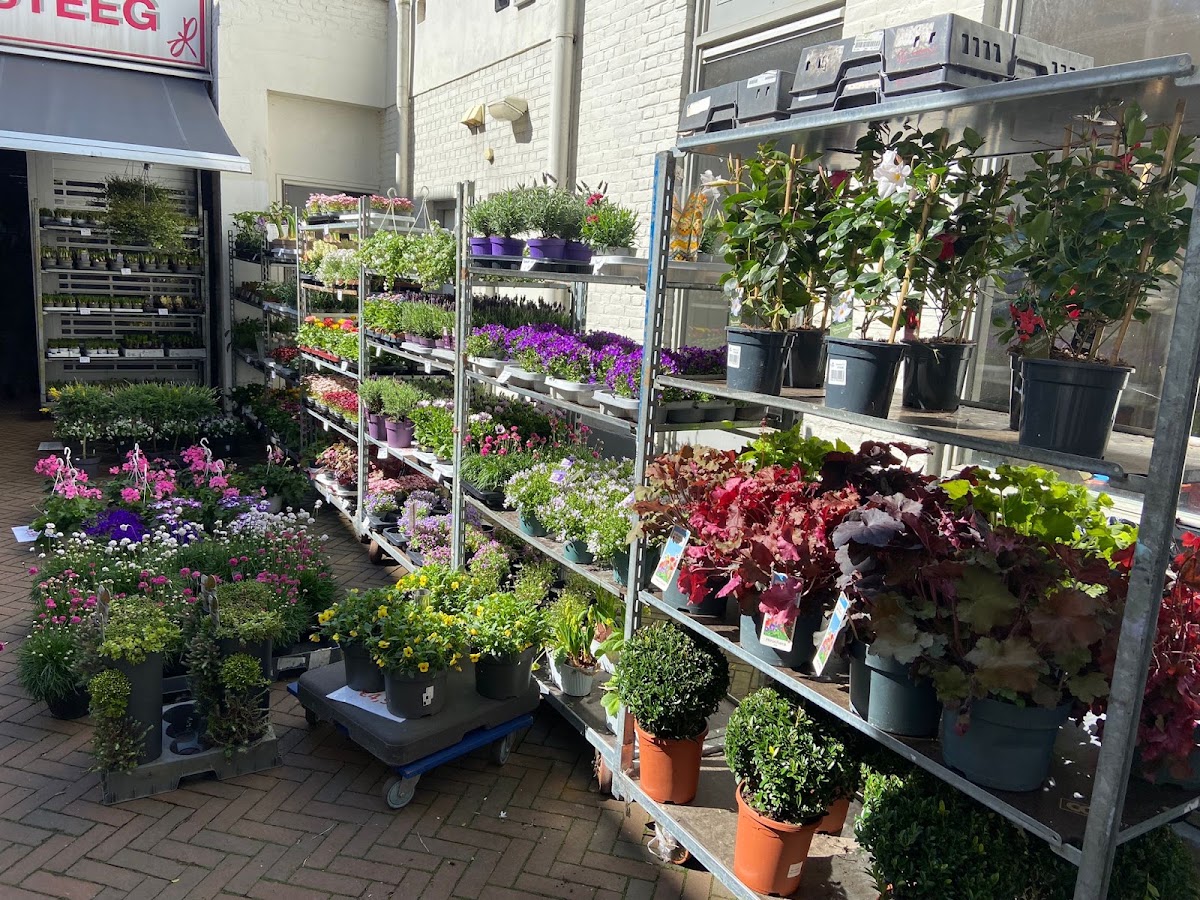 Foto van Bloemensteeg/VOF van Winsum in Apeldoorn