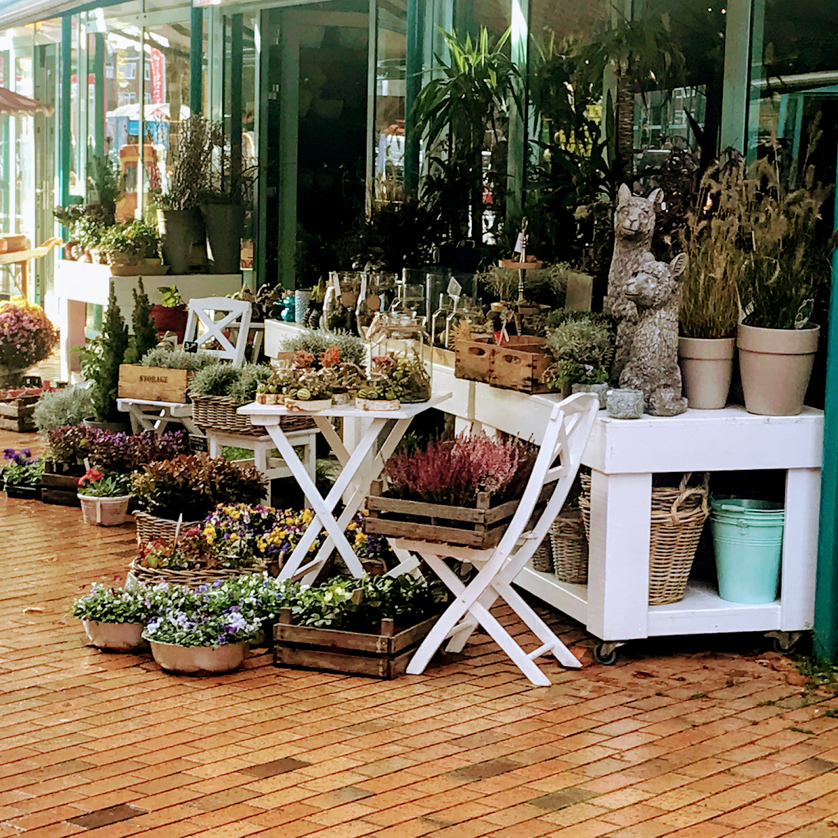 Foto van Bloemen Bezorgen Groningen in Groningen