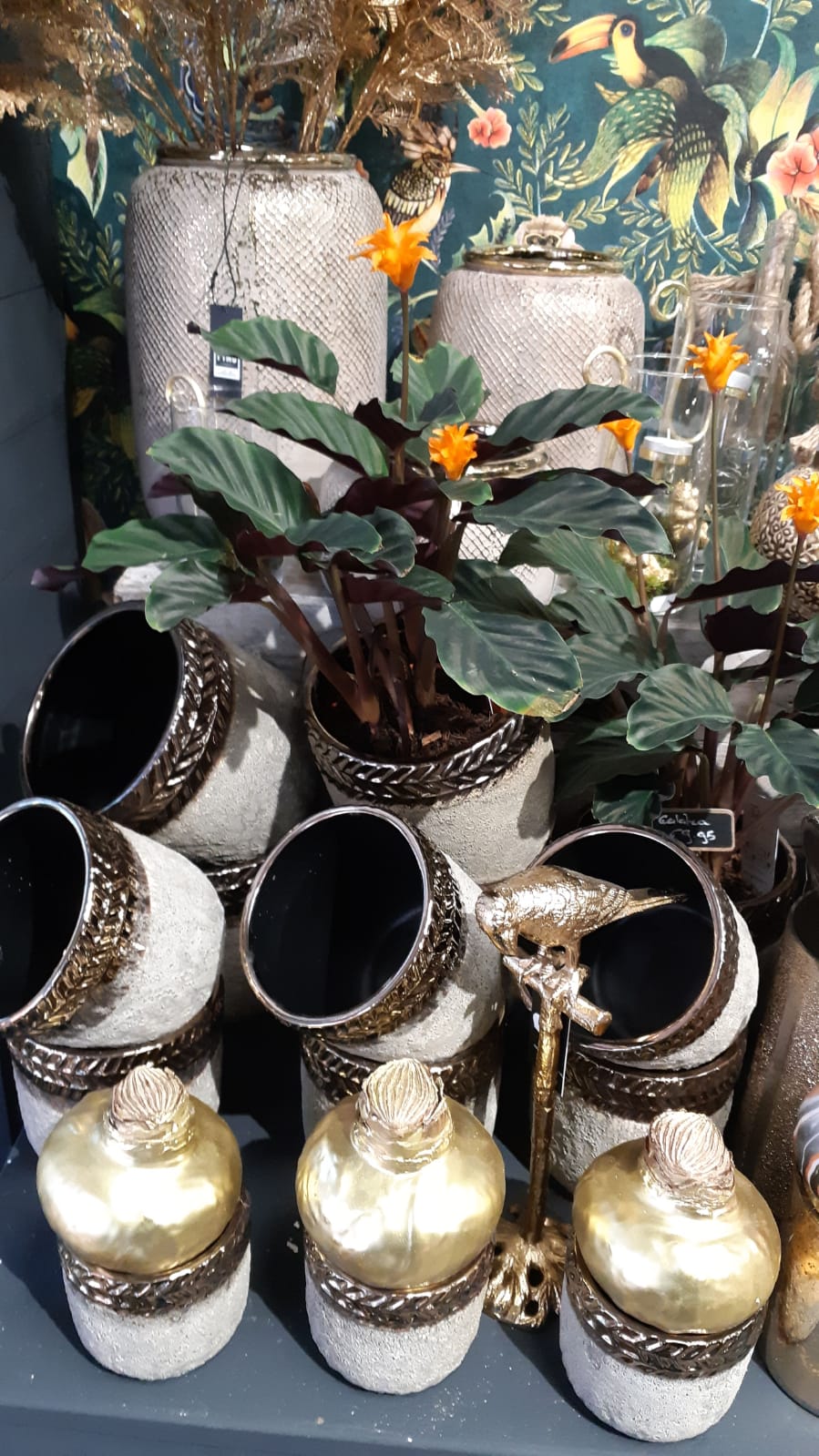 Foto van Bloemen Bezorgen Groningen in Groningen