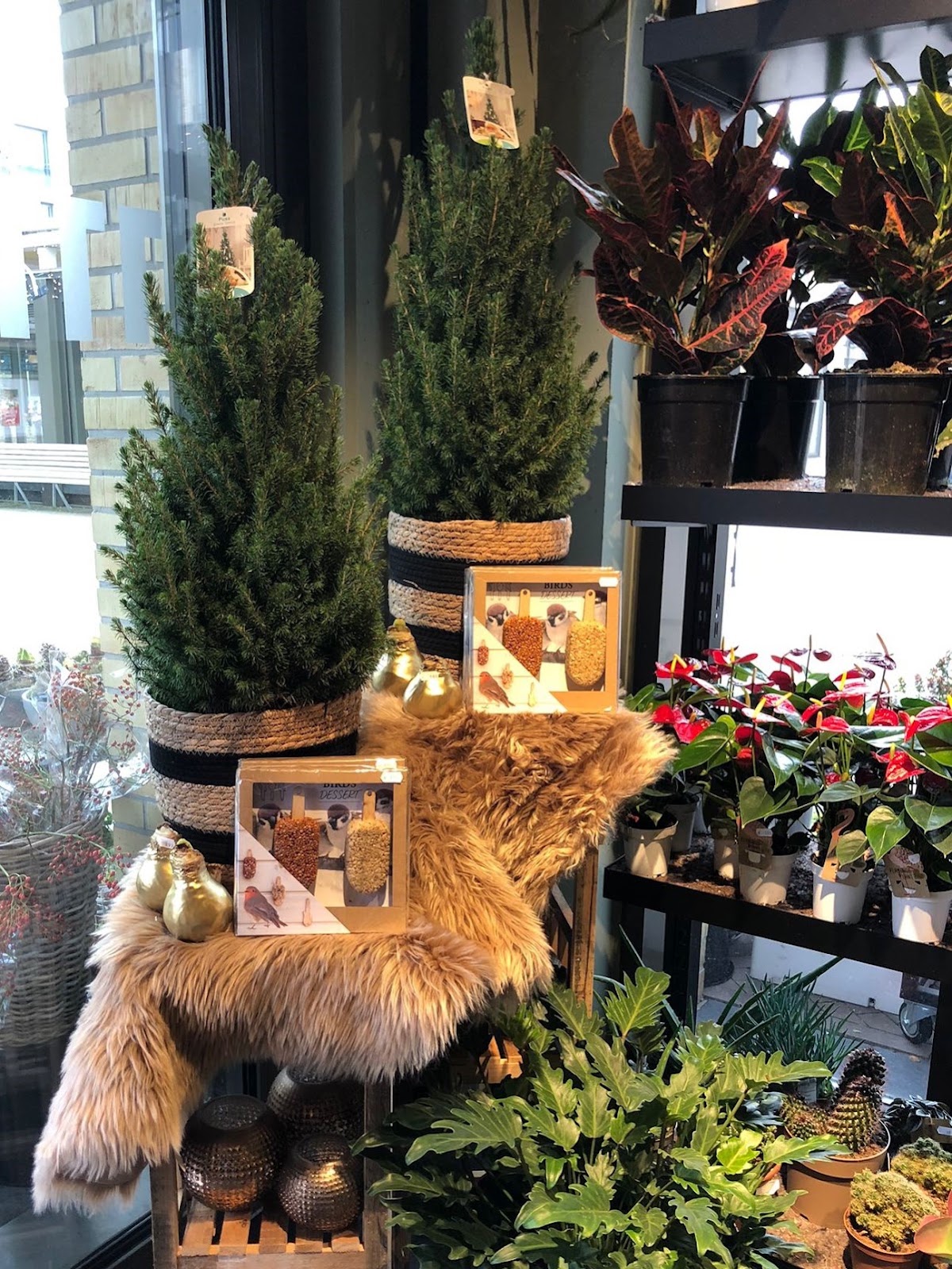 Foto van Van Beest Bloemen en Planten Apeldoorn in Apeldoorn