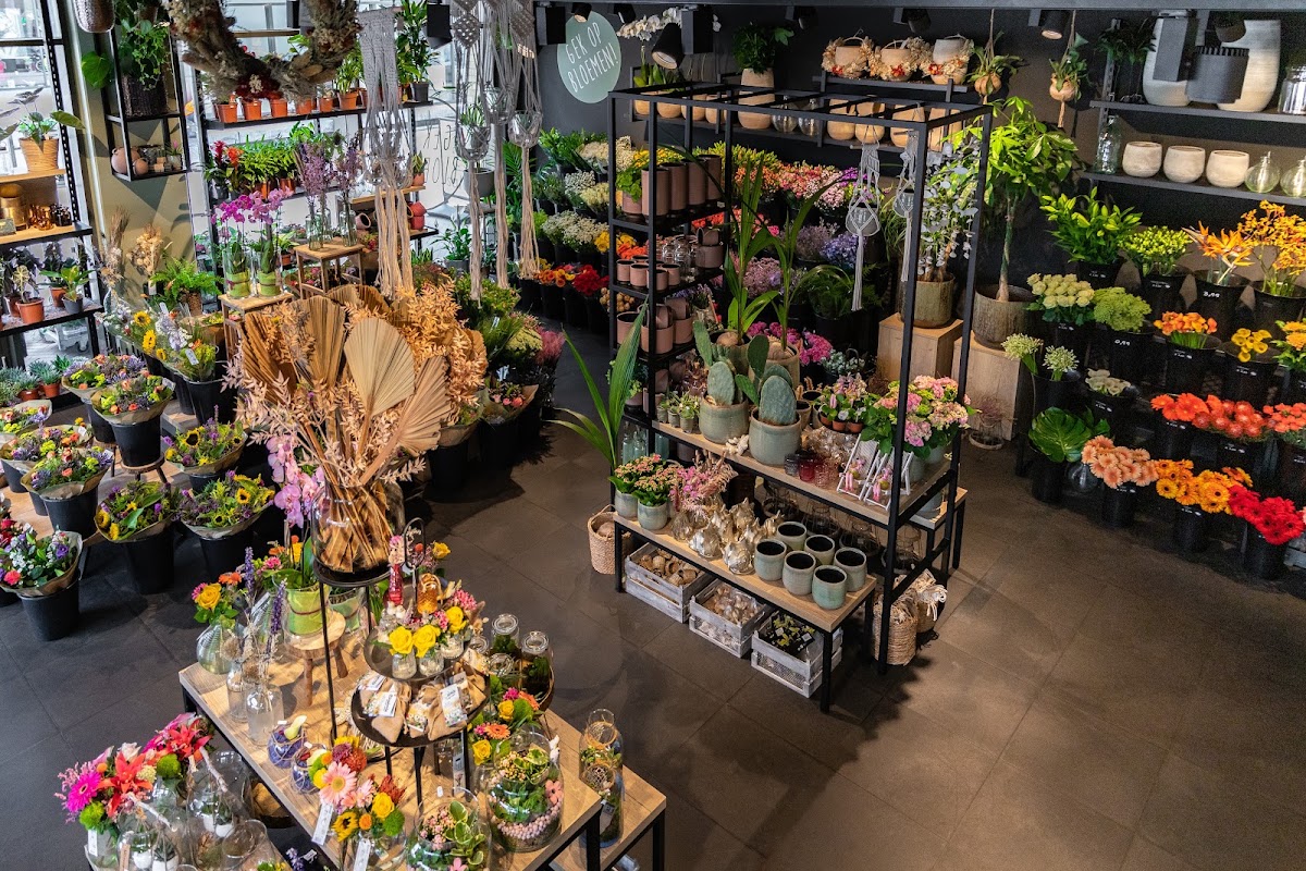 Foto van Van Beest Bloemen en Planten Apeldoorn in Apeldoorn