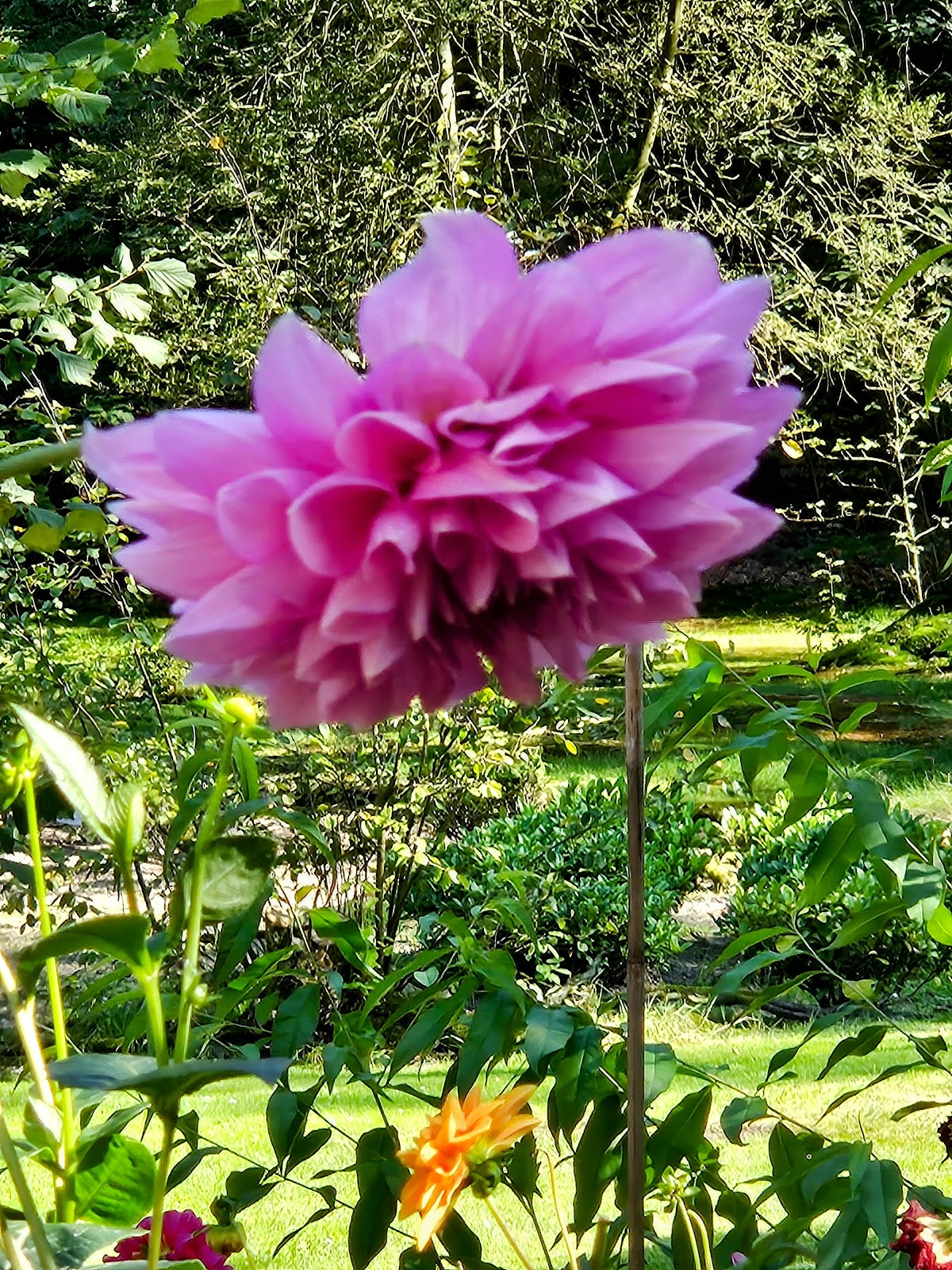 Foto van Bloemenkwekerij Buitenhuis in Apeldoorn
