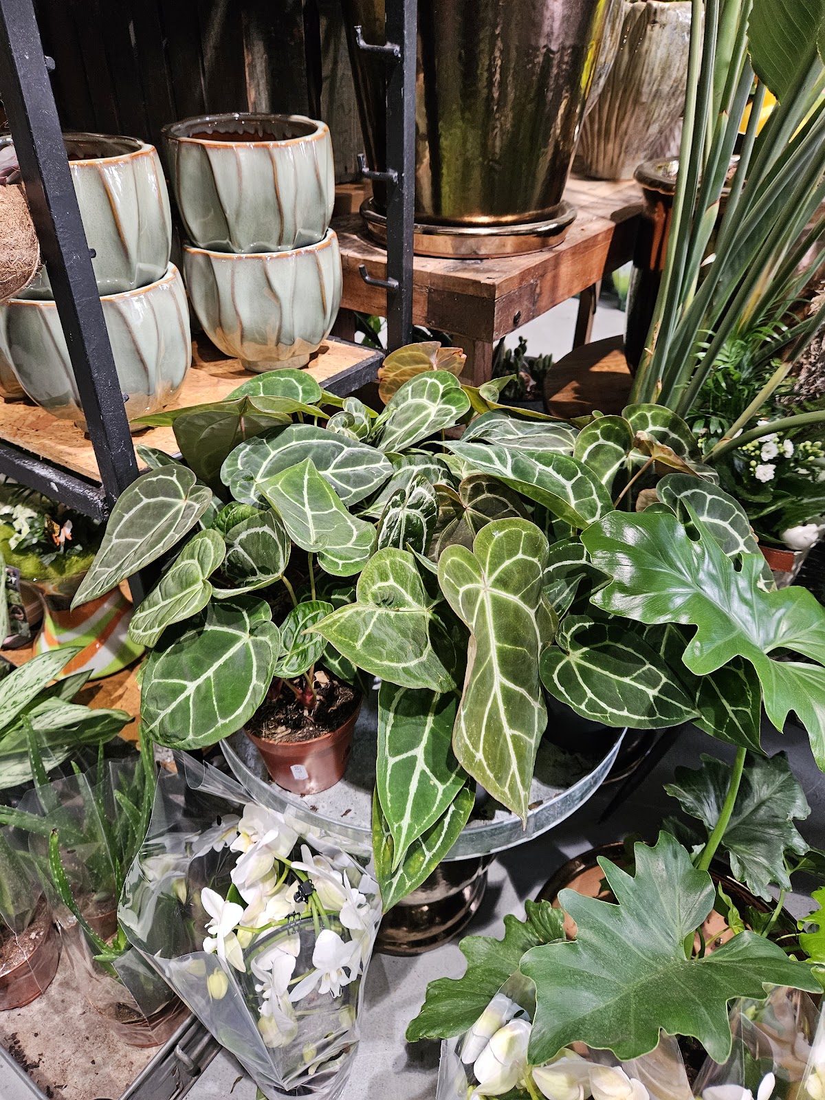 Foto van FleurCompany Kloosterveen in Assen