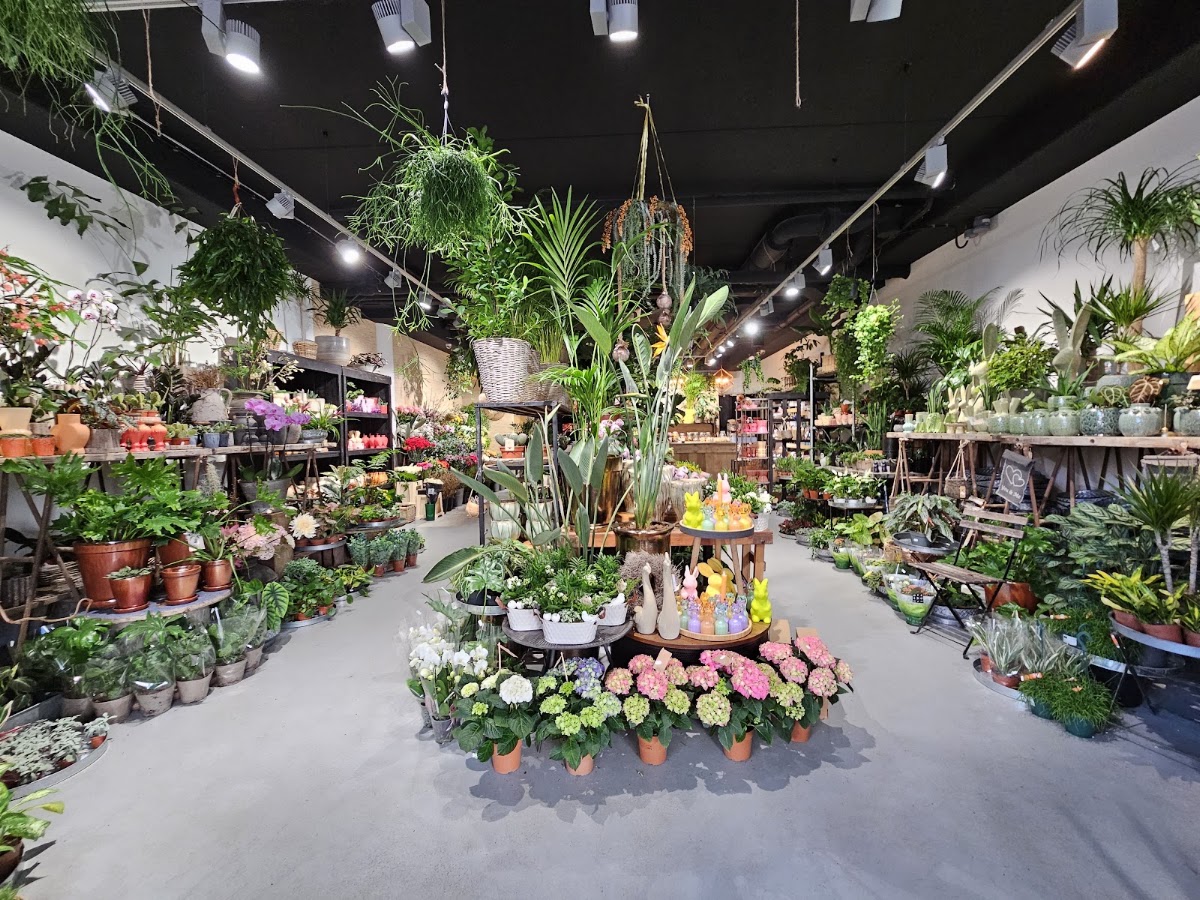 Foto van FleurCompany Kloosterveen in Assen