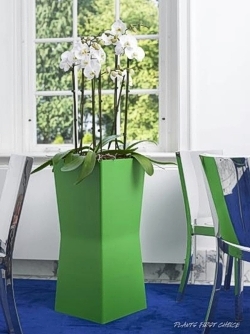 Foto van bloemsierkunst daan meurs in Apeldoorn