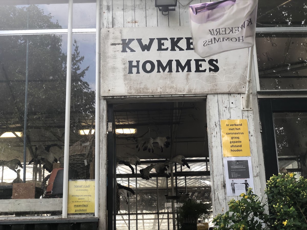 Kwekerij Hommes