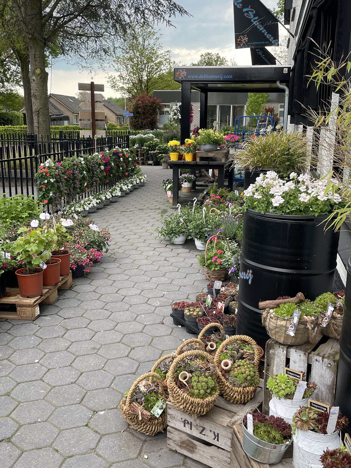 Foto van De Bloemerij in Dwingeloo